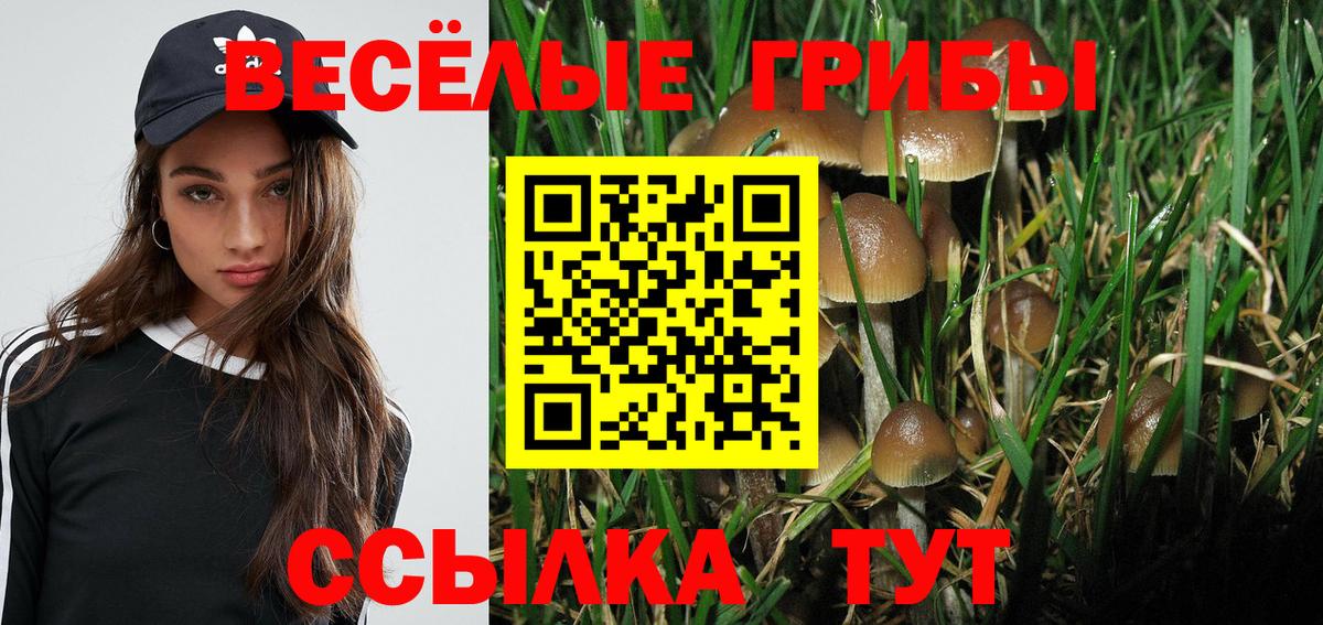 Псилоцибиновые грибы Psilocybe Артём