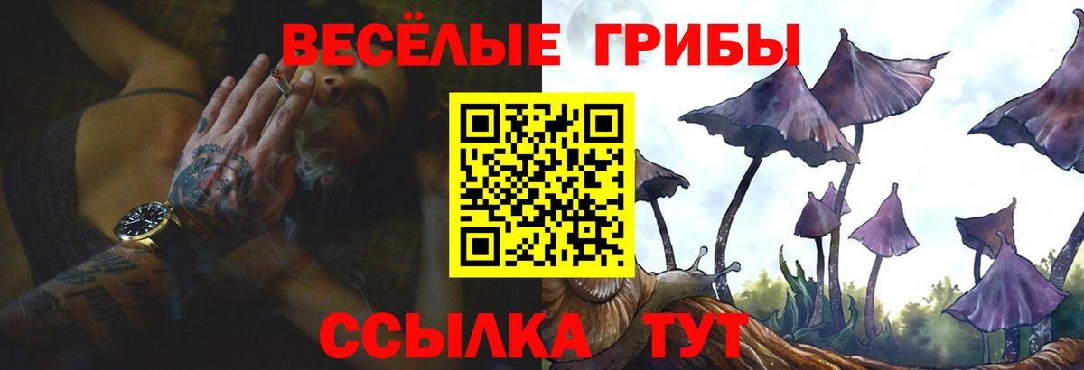 Псилоцибиновые грибы мухоморы  Галлюциногенные грибы Psilocybe  Вход с VPN  Артём 
